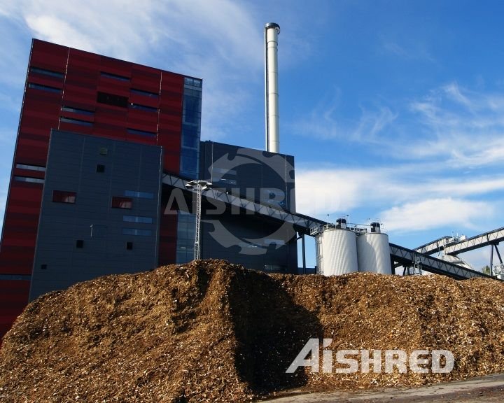 centrale elettrica a biomasse